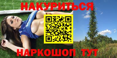 гашик Тулун