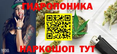 стафф Усть-Джегута