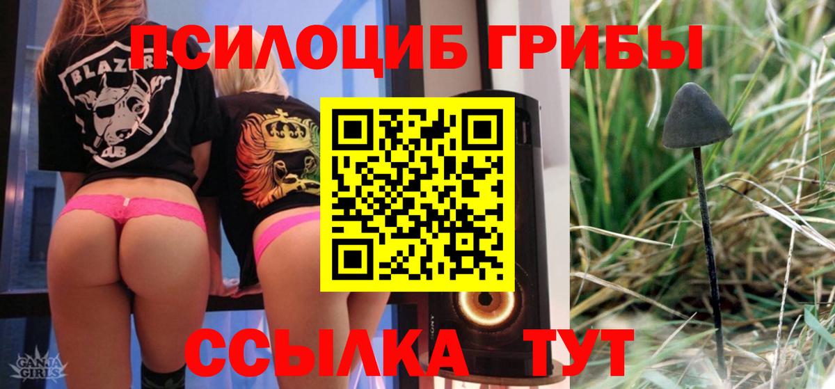 Нефтеюганск  как найти   Псилоцибиновые грибы мицелий  Вход с VPN  Псилоцибиновые грибы Psilocybe 